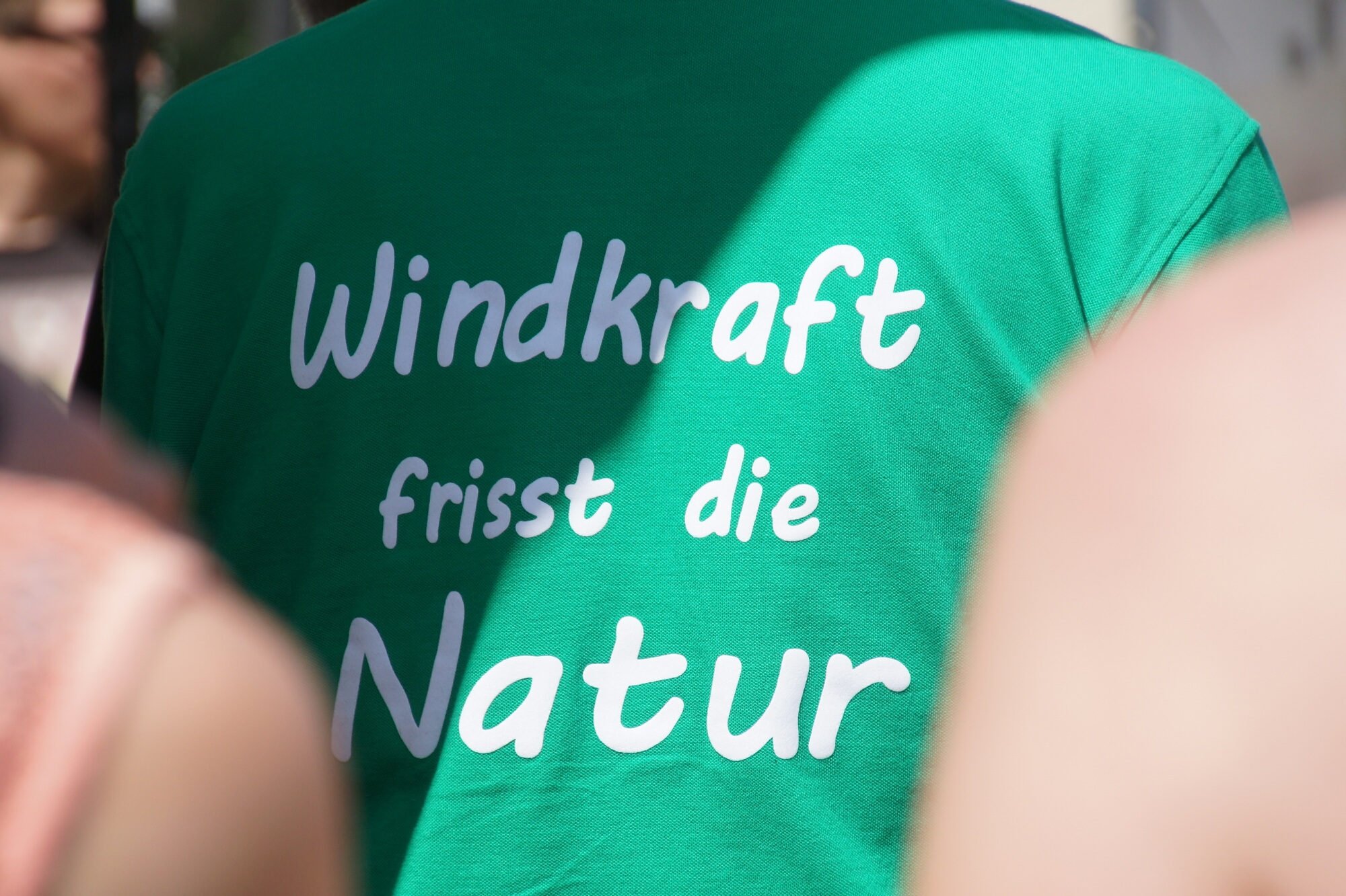 Stephanshausen DEMO Windwahn-20140719DSC08232.jpg